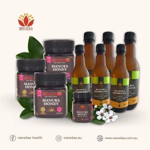 Bundle #3: 3x250g 750+ MGO Manuka Honey and 6 Bottles of Lemon Lime Kombucha + 1 Jar of 125g 750+ MGO